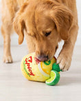 Load image into Gallery viewer, Spicy Muttgarita | Squeaky Plush Dog Toy with Crinkle & Mesh Lining
