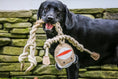 Load image into Gallery viewer, Natural Rope Knottie® Dog Toys, 3 Pack, XL (16mm rope diameter) - image 5