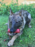 Load image into Gallery viewer, USA-K9 Firecracker Durable Rubber Floating Training Dummy - Large - Red