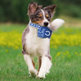 Load image into Gallery viewer, Indianapolis Colts #1 Fan Toy