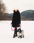 Load image into Gallery viewer, Hearts and Flowers Dog Lead