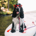Load image into Gallery viewer, Up Country Anchors Aweigh Cast Brass Dog Collar