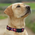 Load image into Gallery viewer, New York Islanders Satin Collar
