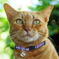 Load image into Gallery viewer, New York Islanders Cat Collar
