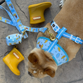 Load image into Gallery viewer, Frenchie Duo Reversible Harness - It's Raining Frenchies