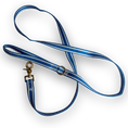 Load image into Gallery viewer, IZOD Pet - Collar & Leash Set
