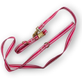 Load image into Gallery viewer, IZOD Pet - Collar & Leash Set