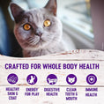 Load image into Gallery viewer, Wellness Complete Health Indoor Healthy Weight Chicken & Turkey Dry Cat Food (5.5lb)