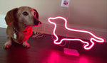 Dachshund Shape Neon Light
