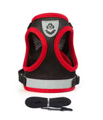 Houdini Weenie No-Escape Harness