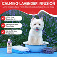 Load image into Gallery viewer, Calming Lavender Dog Shampoo w/Aloe Vera & Essential Oils - Southlake Paws
