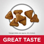 Hill's Science Diet Adult Indoor Chicken Recipe Dry Cat Food Bag The Family Pet