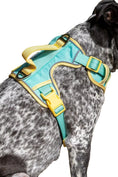 Load image into Gallery viewer, Island Vibes Ultimate Dog Harness - Southlake Paws