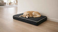 Load image into Gallery viewer, Bowsers Isotonic Memory Foam Dog Crate Mattress in allumina