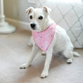 Load image into Gallery viewer, It's My Barkday Bandana