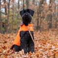 Load image into Gallery viewer, Up Country Orange Field Coat Pet Accessory