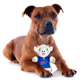 Load image into Gallery viewer, Josh Allen (Buf) Goat Plush Toy