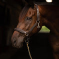 Load image into Gallery viewer, Henri de Rivel Pro Collection Leather Lead with 24" Solid Brass Chain - image 6