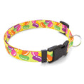 Load image into Gallery viewer, Personalized Jelly Beans Dog Collar