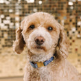 Load image into Gallery viewer, Jolie Dog Collar