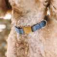 Load image into Gallery viewer, Jolie Dog Collar
