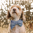 Load image into Gallery viewer, Jolie Dog Babe Bow