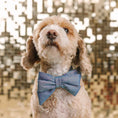 Load image into Gallery viewer, Jolie Dog Babe Bow