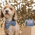 Load image into Gallery viewer, Jolie Dog Babe Bow