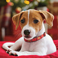 Load image into Gallery viewer, Up Country Joy Cast Brass Dog Collar