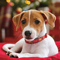 Load image into Gallery viewer, Joy Small Breed Dog Collar