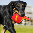 Load image into Gallery viewer, Kansas City Chiefs #1 Fan Toy