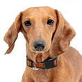 Load image into Gallery viewer, Kansas City Chiefs Zubaz Collar