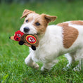 Load image into Gallery viewer, Kansas City Chiefs Plush Hedgehog Toy