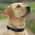 Load image into Gallery viewer, Los Angeles Kings Satin Collar