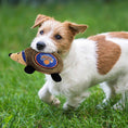 Load image into Gallery viewer, New York Knicks Plush Hedgehog Toy