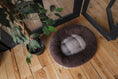 Load image into Gallery viewer, Donuts Premium Chester & Lee | Chestnut Donut Dog Bed