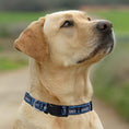 Load image into Gallery viewer, Seattle Kraken Satin Collar