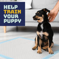 Load image into Gallery viewer, Disposable Pet Pads