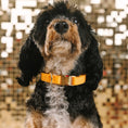 Load image into Gallery viewer, Keaton Dog Collar
