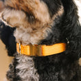 Load image into Gallery viewer, Keaton Dog Collar