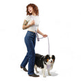 Load image into Gallery viewer, Kismet Dog Leash - Southlake Paws