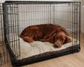 Load image into Gallery viewer, Dream Futon