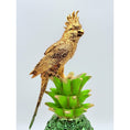 Load image into Gallery viewer, Cockatoo Sculpture - Animal Love - love animal cockatoo sculpture, luxury sculpture, product image 3