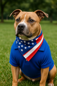 Load image into Gallery viewer, Parisian Pet 'Polo' Dog & Cat T-Shirt – Trendy Cotton Polo, Comfortable & Lightweight – Blue