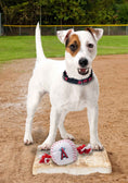 Load image into Gallery viewer, Los Angeles Angels Nylon Baseball Rope Toy