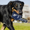 Load image into Gallery viewer, Los Angeles Dodgers #1 Fan Toy
