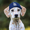 Load image into Gallery viewer, MLB Los Angeles Dodgers Dog Hat