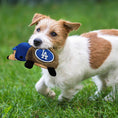 Load image into Gallery viewer, Los Angeles Dodgers Plush Hedgehog Toy