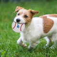 Load image into Gallery viewer, La Dodgers Hard Nylon Baseball Chew Toy