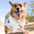 Load image into Gallery viewer, MLB Los Angeles Dodgers Mesh Dog Jersey